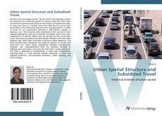 Urban Spatial Structure and Subsidized Travel kitap kapağı