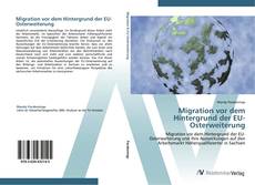 Обложка Migration vor dem Hintergrund der EU-Osterweiterung