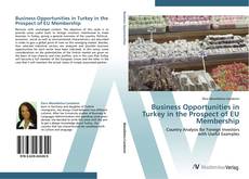 Обложка Business Opportunities in Turkey in the Prospect of EU Membership