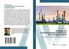 Buchcover von Intelligente Investitionsentscheidungen für Energieprojekte