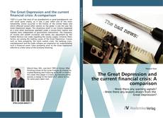 Bookcover of The Great Depression and the current financial crisis: A comparison