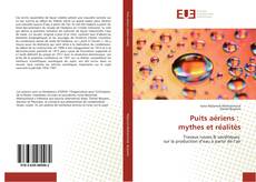 Puits aériens : mythes et réalités kitap kapağı