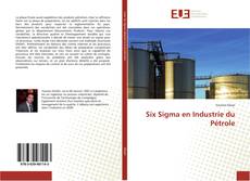 Six Sigma en Industrie du Pétrole kitap kapağı
