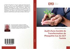 Bookcover of Audit d'une Société de Transformation de Phospahte Cas du GCT Tunisie