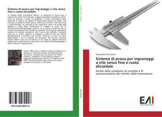 Bookcover of Sistema di prova per ingranaggi a vite senza fine e ruota elicoidale