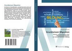 Bookcover of Grundwissen Migration