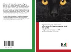 Capa do livro de Infezione da Haemoplasma spp. nel gatto 