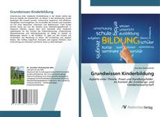 Bookcover of Grundwissen Kinderbildung