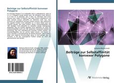 Beiträge zur Selbstaffinität konvexer Polygone的封面