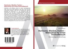 Capa do livro de Hurricane, Wacken, Fusion – Motivation für einen Festivalbesuch 