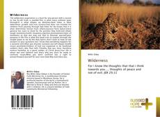 Bookcover of Wilderness
