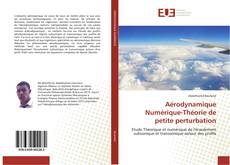 Aérodynamique Numérique-Théorie de petite perturbation kitap kapağı
