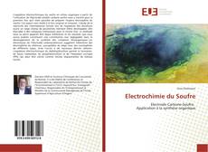 Bookcover of Electrochimie du Soufre