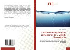 Caractéristiques des eaux souterraines de la ville de Sbaa Ayoune kitap kapağı