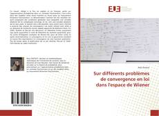 Capa do livro de Sur différents problèmes de convergence en loi dans l'espace de Wiener 