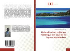 Hydrochimie et pollution métallique des eaux de la lagune Mondoukou kitap kapağı