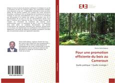 Bookcover of Pour une promotion efficiente du bois au Cameroun