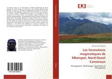 Bookcover of Les formations magmatiques de Mbengwi, Nord-Ouest Cameroun