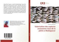 Copertina di Valorisation des captures accessoires issus de la pêche à Madagascar