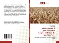 Buchcover von Identification et caractérisation morphométrique des variétés d'orge