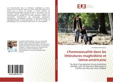 Capa do livro de L'homosexualité dans les littératures maghrébine et latino-américaine 