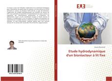 Couverture de Etude hydrodynamique d'un bioréacteur à lit fixe