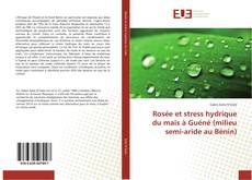 Capa do livro de Rosée et stress hydrique du maïs à Guéné (milieu semi-aride au Bénin) 