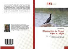 Buchcover von Dégradation du Fleuve Niger au Niger