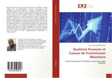 Dualisme Financier et Canaux de Transmission Monétaire kitap kapağı