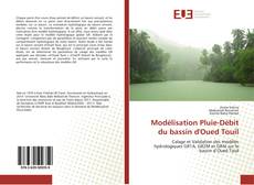 Modélisation Pluie-Débit du bassin d'Oued Touil kitap kapağı