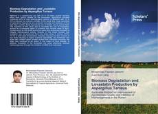Borítókép a  Biomass Degradation and Lovastatin Production by Aspergillus Terreus - hoz