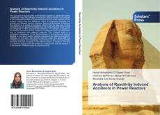 Analysis of Reactivity Induced Accidents in Power Reactors的封面