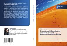 Buchcover von Undocumented Immigrants and Their Access to Fundamental Human Rights