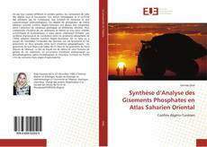 Buchcover von Synthèse d’Analyse des Gisements Phosphates en Atlas Saharien Oriental