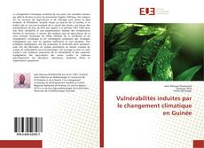 Buchcover von Vulnérabilités induites par le changement climatique en Guinée