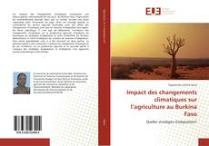 Capa do livro de Impact des changements climatiques sur l’agriculture au Burkina Faso 