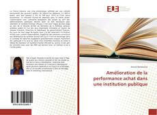 Amélioration de la performance achat dans une institution publique kitap kapağı