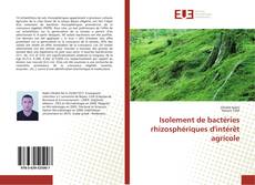 Isolement de bactéries rhizosphériques d'intérêt agricole kitap kapağı