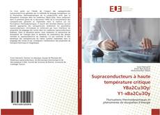 Bookcover of Supraconducteurs à haute température critique YBa2Cu3Oy/ Y1-xBa2Cu3Oy
