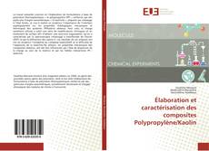 Couverture de Élaboration et caractérisation des composites Polypropylène/Kaolin