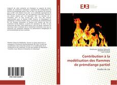 Capa do livro de Contribution à la modélisation des flammes de prémélange partiel 