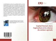 Buchcover von Capital Humain dans l'agriculture et la relance du secteur agricole