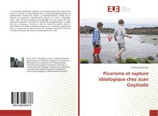 Bookcover of Picarisme et rupture idéologique chez Juan Goytisolo