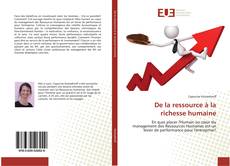 Bookcover of De la ressource à la richesse humaine