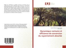 Bookcover of Dynamique racinaire et efficience de conversion du rayonnement absorbé