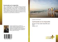 Bookcover of Caminando en lo imposible