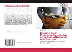 Impacto de un Programa Ergonómico en la Productividad de una Empresa kitap kapağı