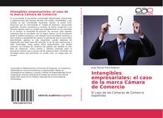 Intangibles empresariales: el caso de la marca Cámara de Comercio kitap kapağı