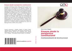 Bookcover of Ensayos desde la perspectiva constitucional