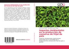 Impactos Ambientales en la producción de conserva de frijol de palo kitap kapağı